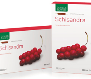 Schisandra