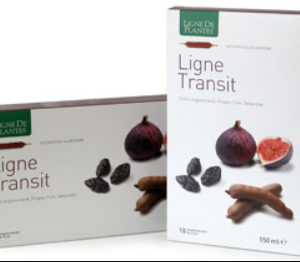 Ligne Transit