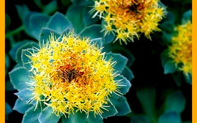 Contro la stanchezza fisica e mentale