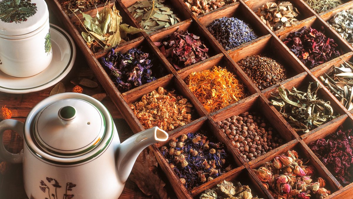 Tisane tè e infusi Modena